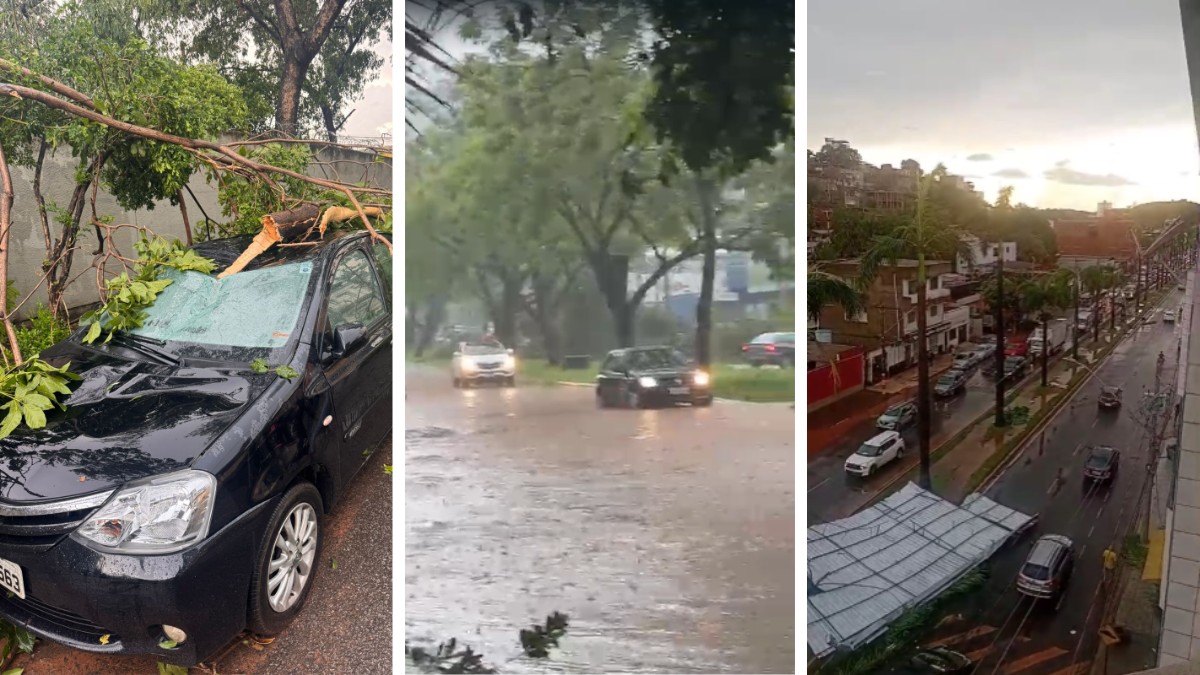Temporal com ventania derruba árvores, torres e barraca da Feirarte em Ipatinga