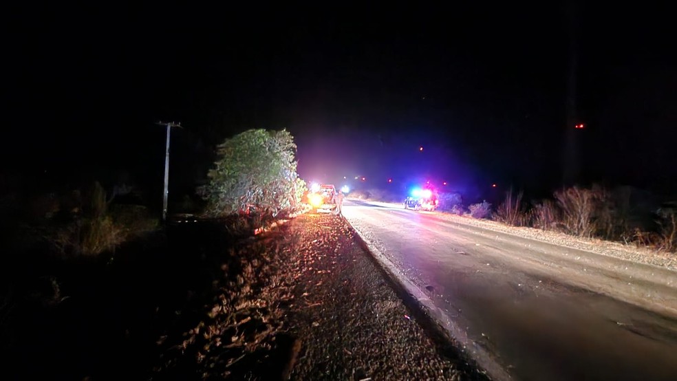 Testemunha informou aos bombeiros que caminhoneiro fez ultrapassagem indevida antes de acidente. — Foto: Corpo de Bombeiros/Reprodução