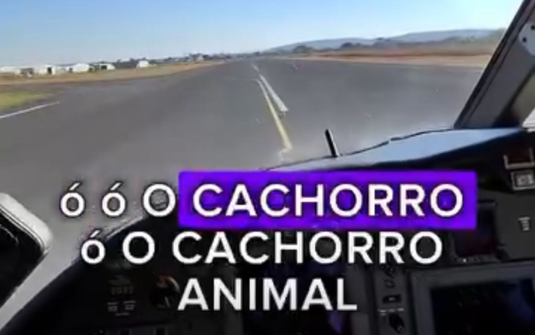 Cachorro invade pista e obriga pilotos a frear avião durante pouso em Formosa; vídeo