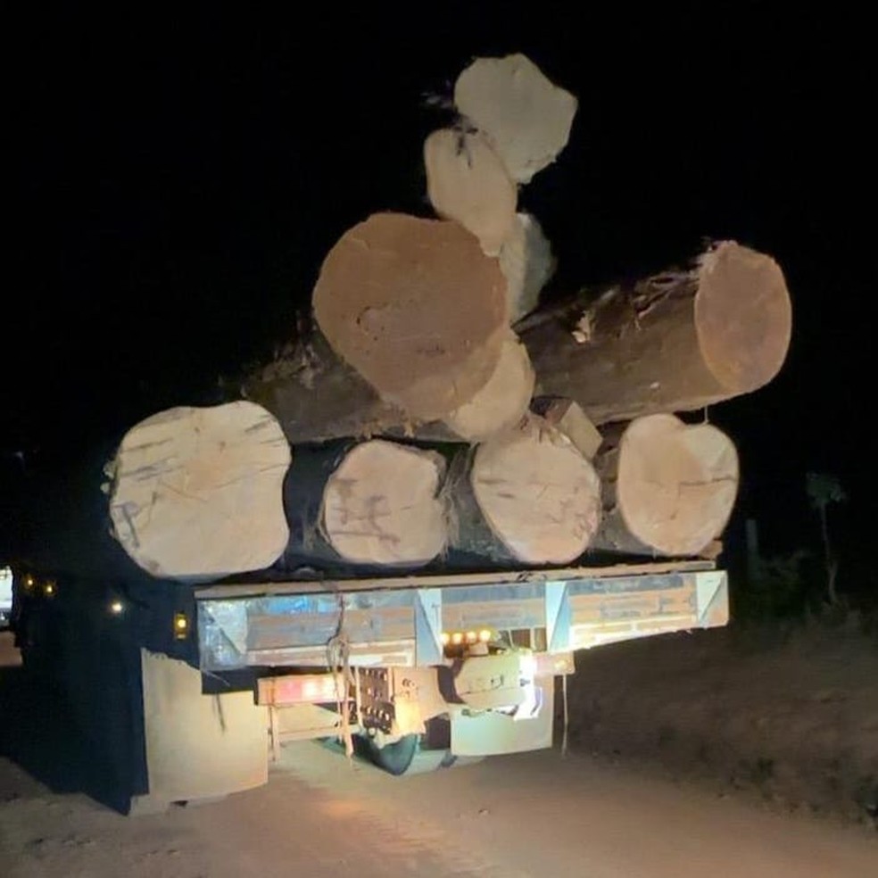 19 toras de madeira nativa foram apreendidas em operação da PF em RO — Foto: Polícia Federal/Divulgação