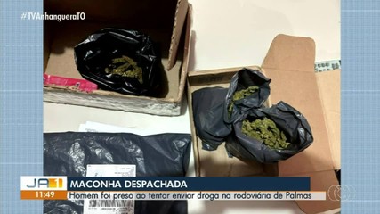 Homem é preso após tentar despachar pacotes de maconha na rodoviária de Palmas