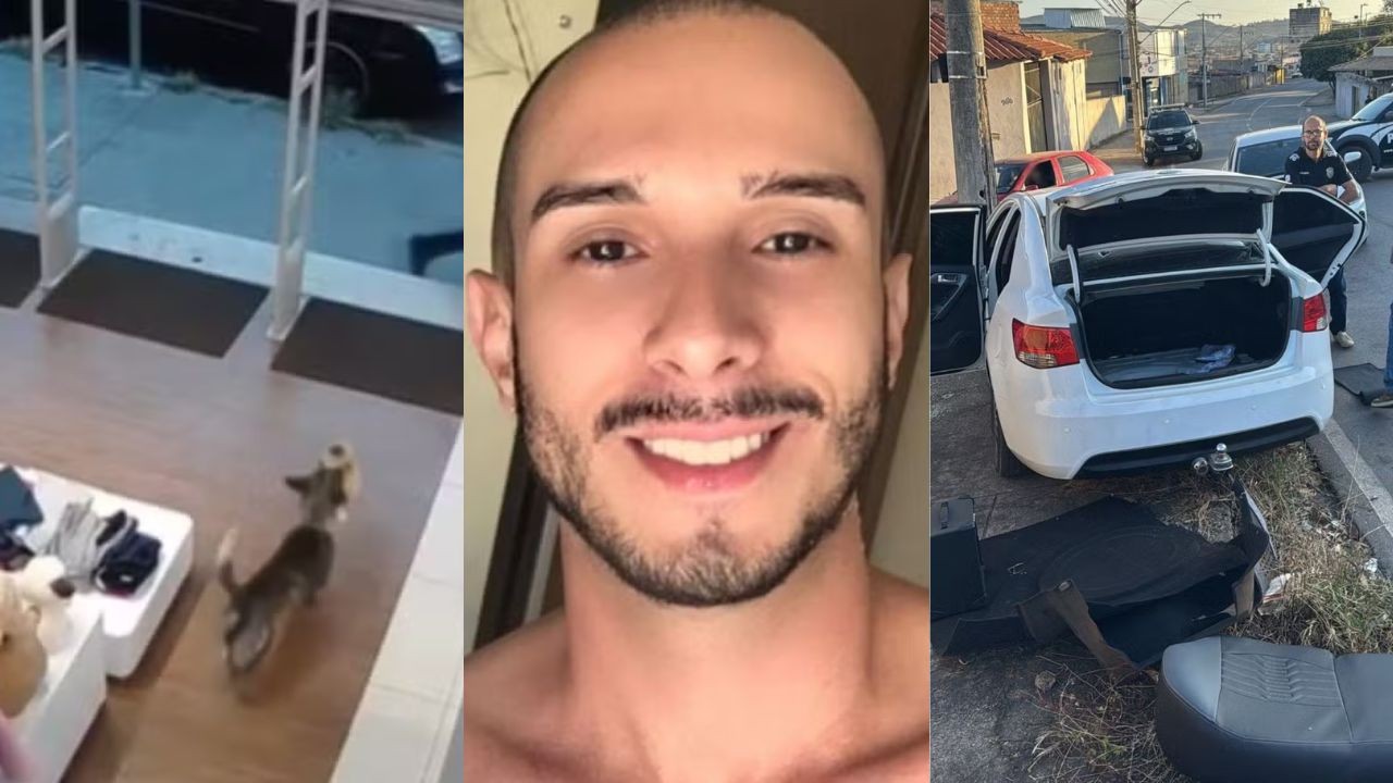 Você viu? Cachorro 'furta' ursinho de pelúcia em loja, morte de professor premeditada pelo ex-noivo e fuga com carro clonado termina em acidente