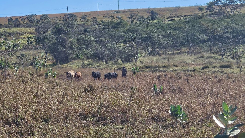 Idosos foram multados em Marabá Paulista (SP) — Foto: Polícia Ambiental