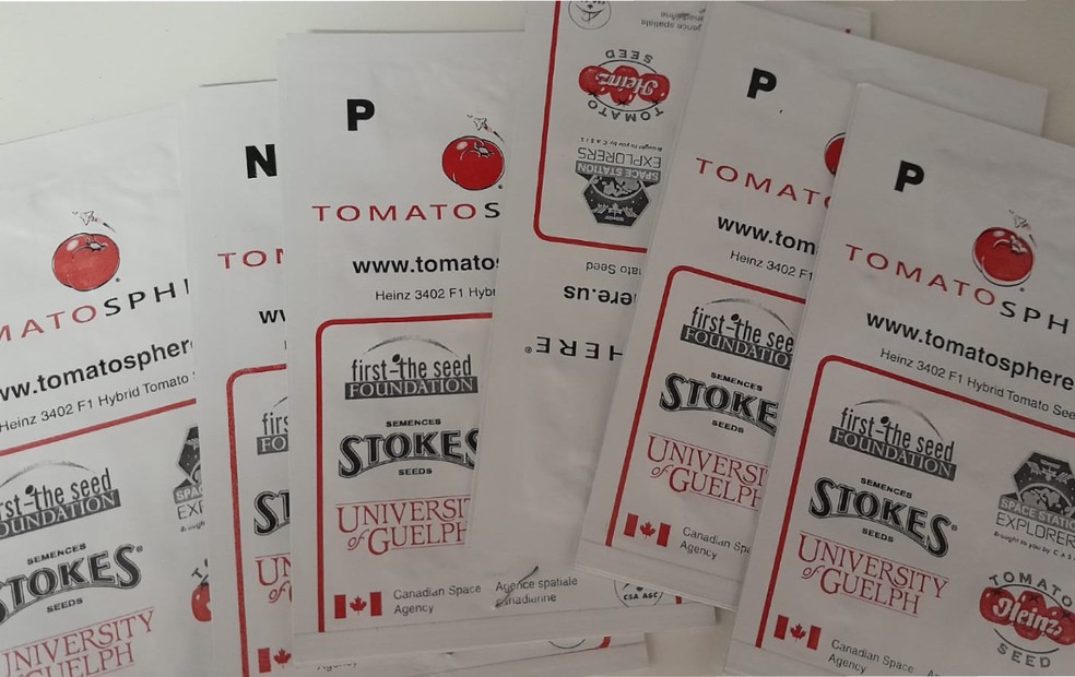 Sementes do projeto "Tomatosphere" enviadas a Jaú — Foto: Diretoria de Ensino de Jaú/ Divulgação