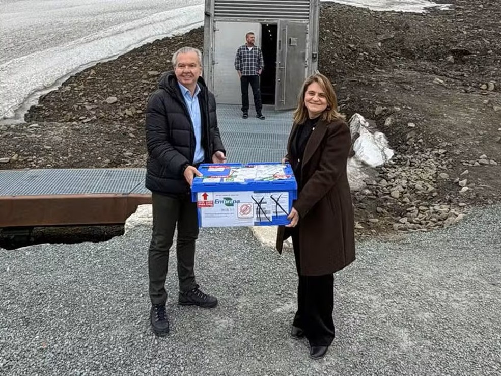 Caixa com sementes da Embrapa é entregue no Banco Global de Sementes de Svalbard, na Noruega. — Foto: Embrapa