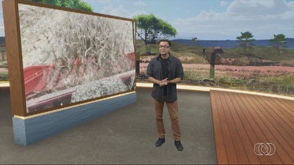 Confira os destaques do Jornal do Campo deste domingo (21)