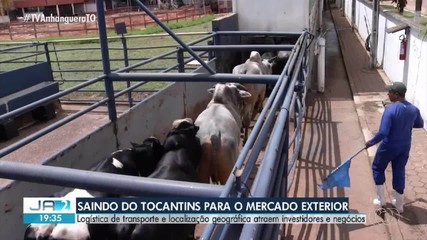 Localização geográfica e logística de transporte atraem investidores para o Tocantins