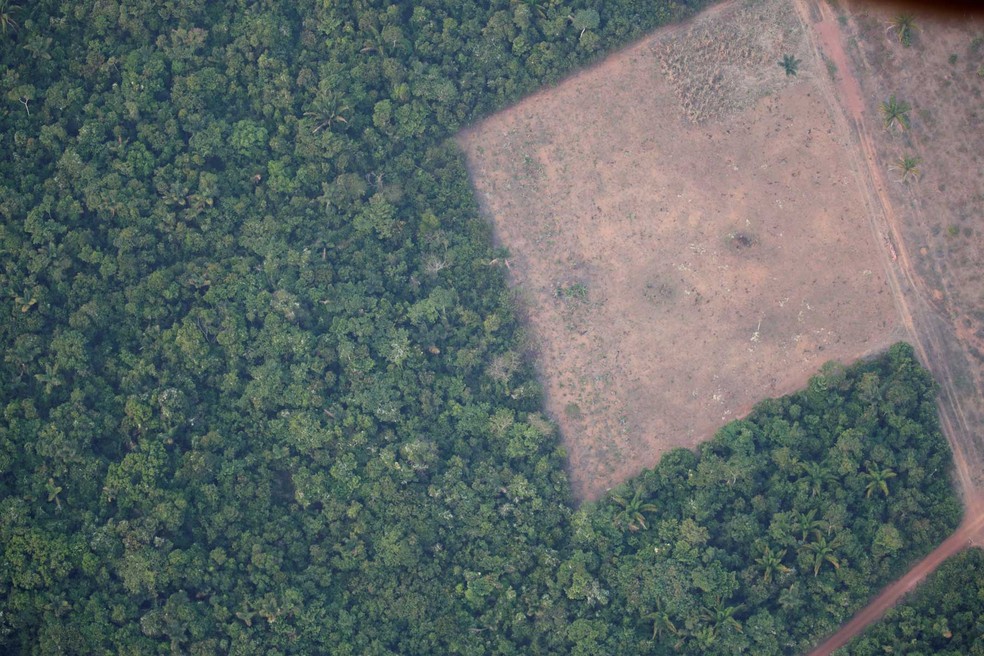 Desmatamento em região perto de Porto Velho (RO) — Foto: Arquivo/Ueslei Marcelino/Reuters