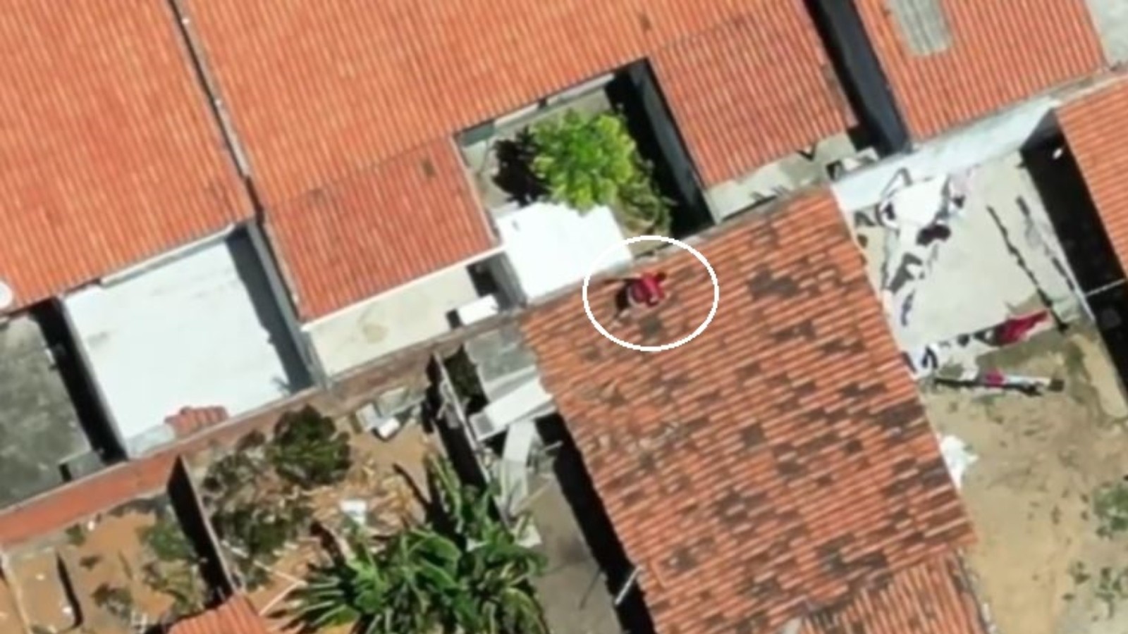 Criminoso pula muros e escala telhados para tentar fugir da polícia na Grande Fortaleza; veja vídeo