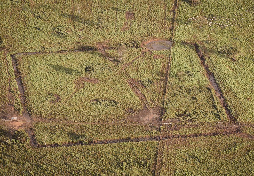 Imagens inéditas de geoglifos no sul do AM — Foto: Valter Calheiros