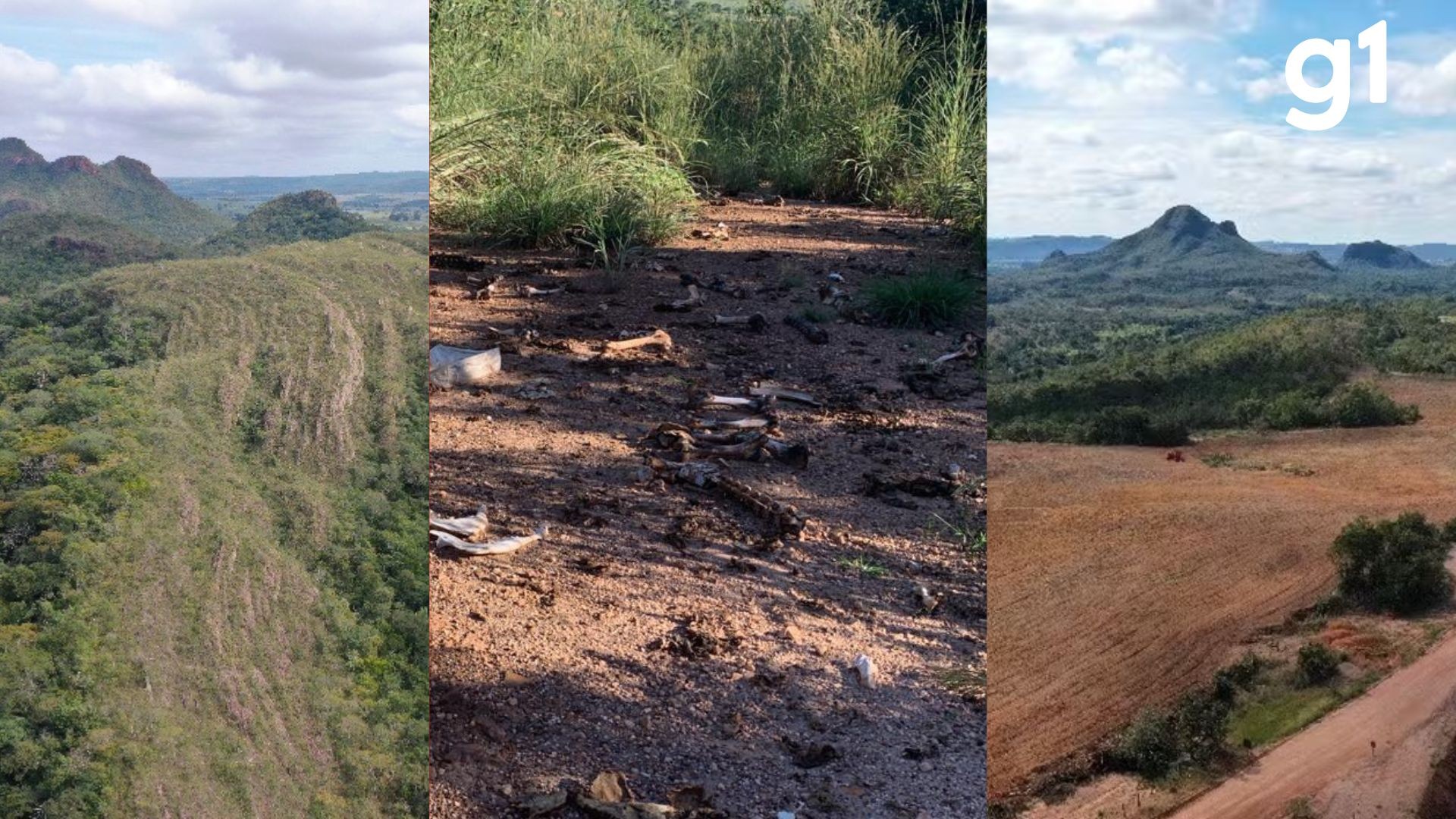 Maior cratera criada por meteoro na América do Sul é 'tesouro' geológico abandonado, dizem pesquisadores