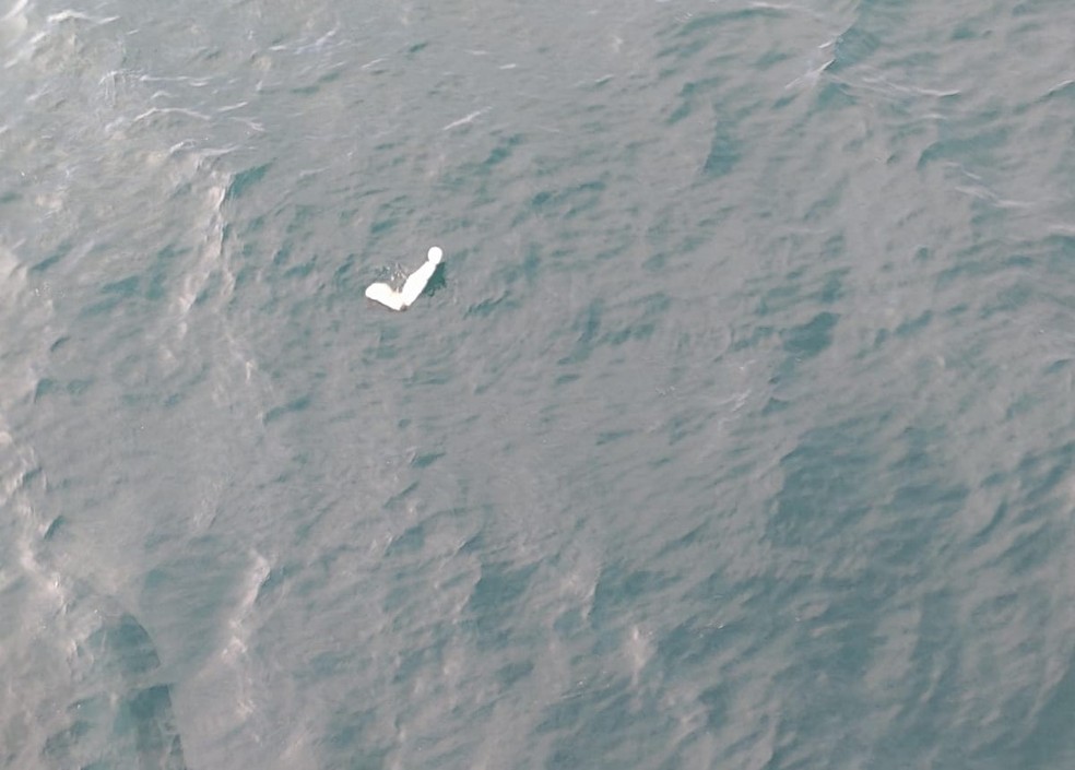 Poltrona que seria de avião bimotor que caiu no mar na região de Ubatuba — Foto: Divulgação