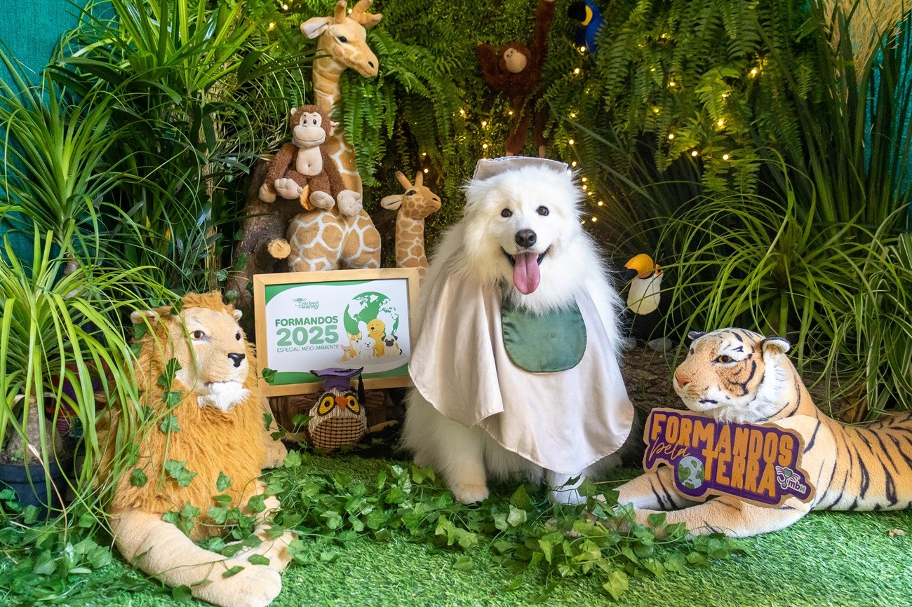 FOTOS: Com direito a beca e boletim escolar, cães estrelam ensaio de formatura em 'hotel pet' de Natal
