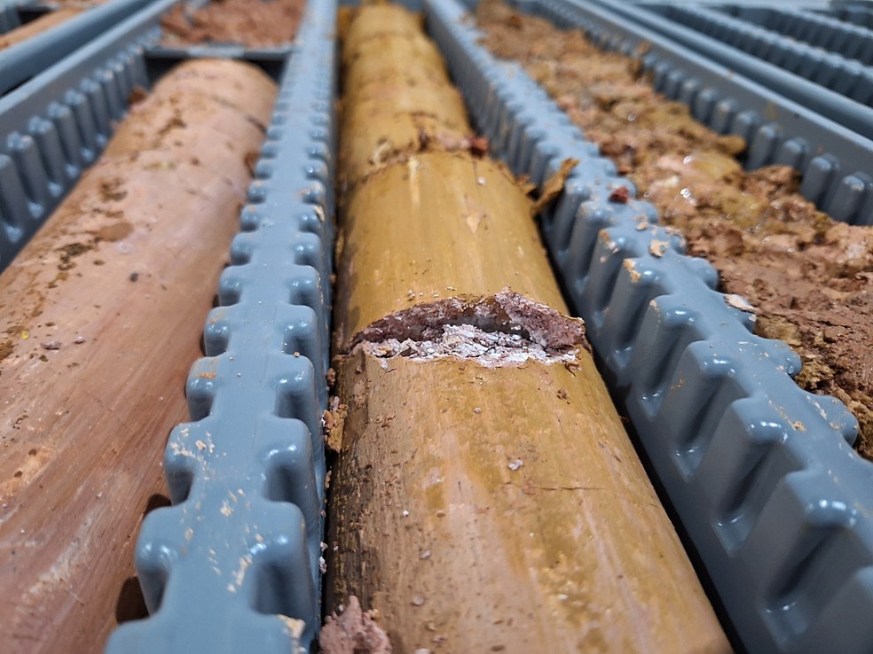 Amostra de argila retirada de área formada sobre cratera de vulcão extinto no Sul de Minas rica em elementos conhecidos por terras raras — Foto: Viridis/Divulgação