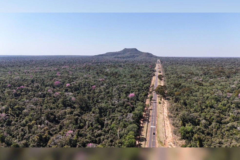Parque Estadual Morro do Diabo, em Teodoro Sampaio (SP), é símbolo de preservação — Foto: Fundação Florestal