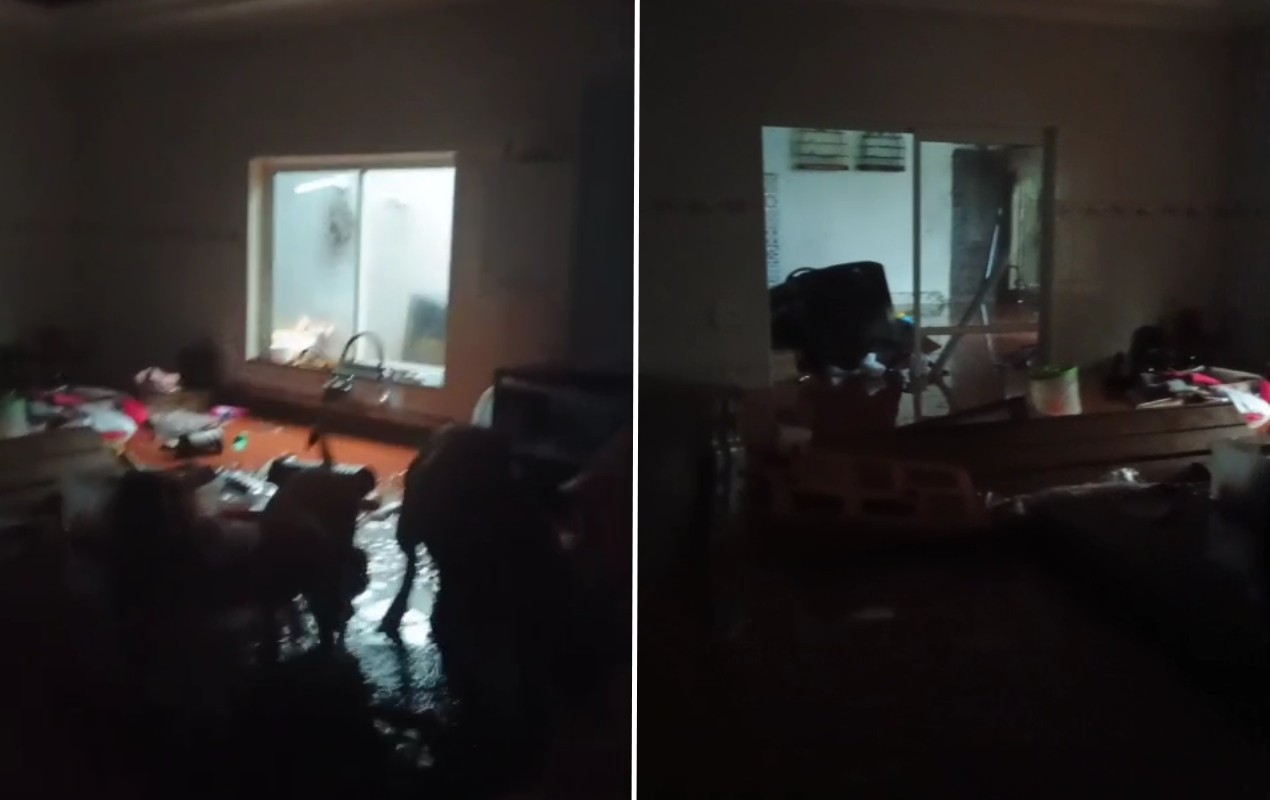 VÍDEO: homem e cadelas são resgatados após ficarem ilhados em casa durante temporal em Jaú: 'Só pensava na vida delas'