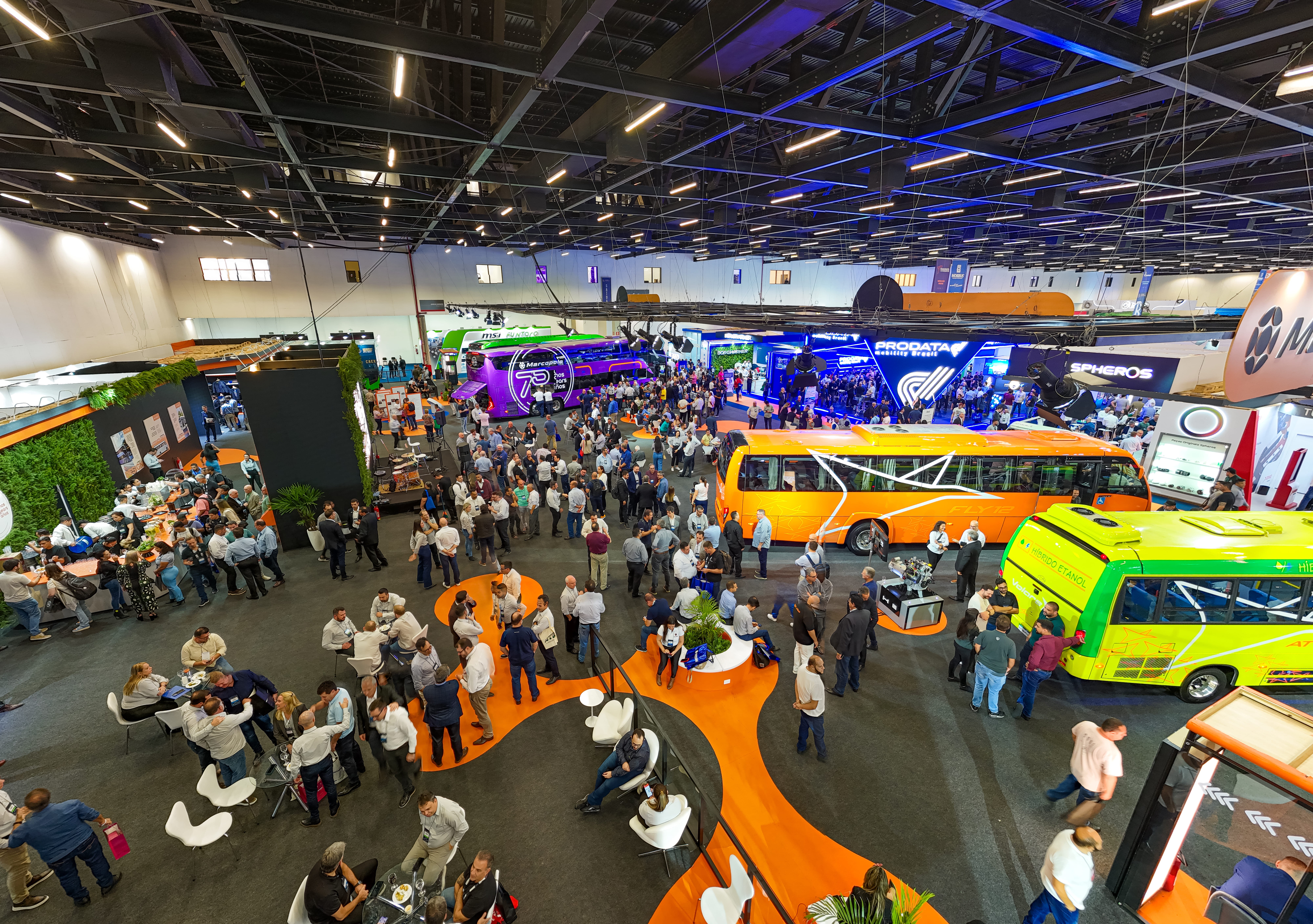 Volare fortalece liderança com novos modelos