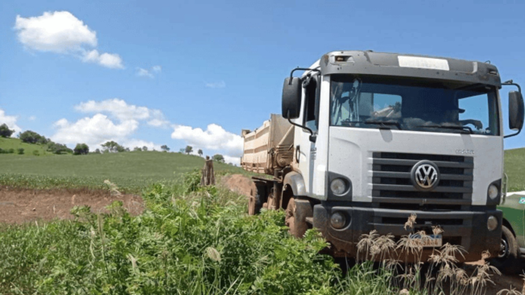 Empresários são condenados a pagar R$ 6 milhões por desmatarem terra indígena para plantarem soja e milho transgênicos, no Paraná