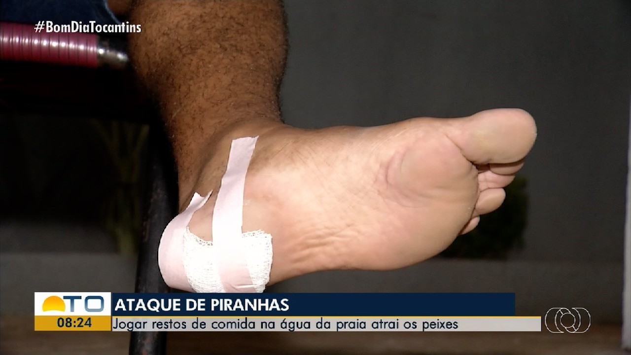 VÍDEOS: Bom dia Tocantins de quinta-feira, 29 de maio de 2025