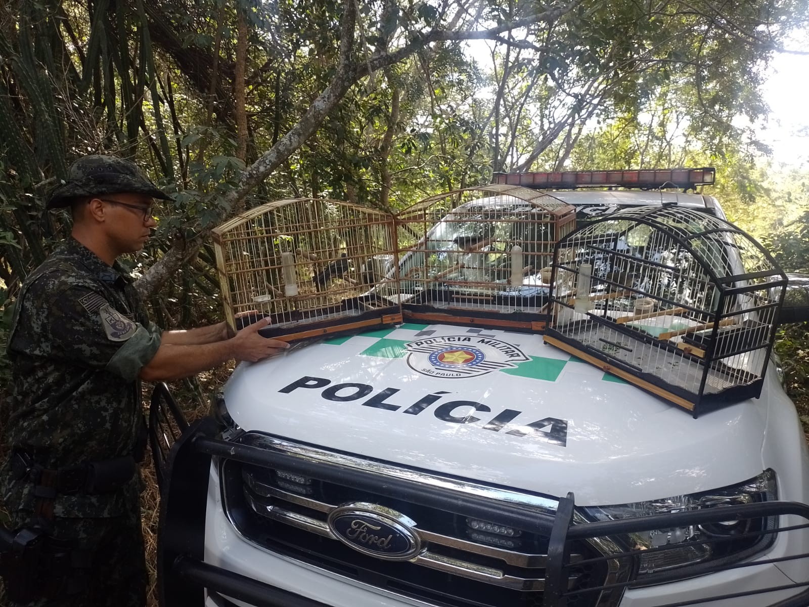 Homem é multado em R$ 1,5 mil por manter três aves silvestres em cativeiro, em Pacaembu