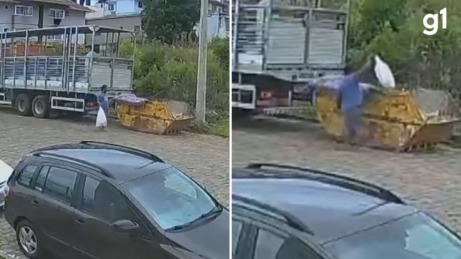 VÍDEO: Homem abandona cachorro doente em sacola dentro de contêiner no RS; animal morreu 