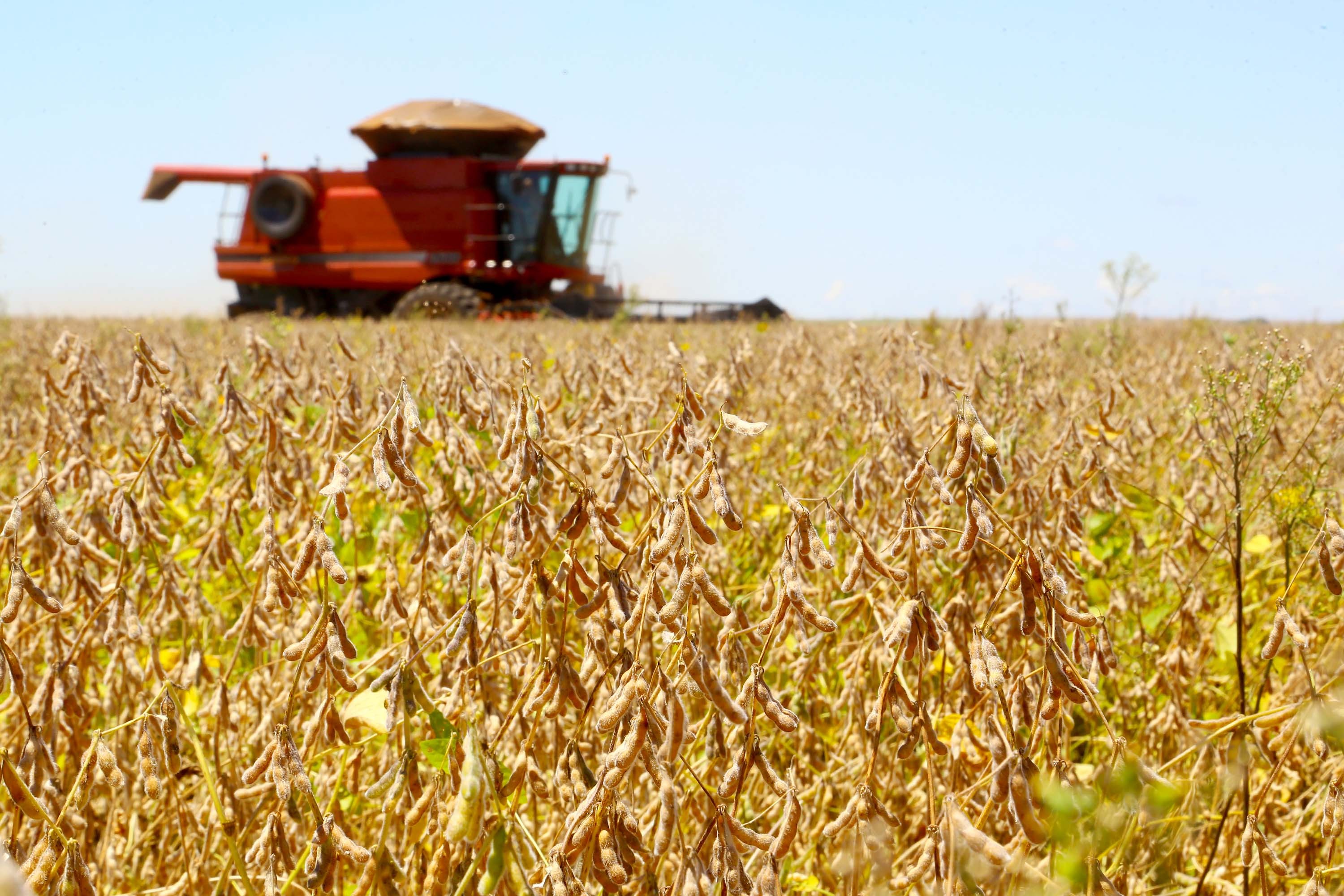 Cadeia da soja e biodiesel tem PIB de R$ 635,9 bilhões e equivale a 6% da produção do Brasil, aponta USP