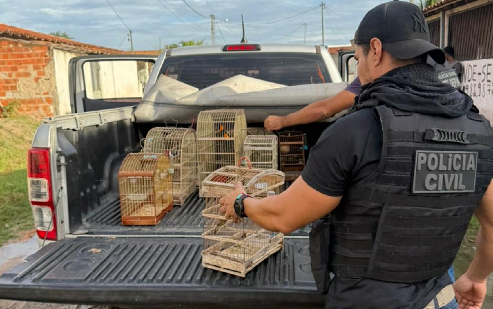 Homem é detido suspeito de manter pássaros em situação de maus-tratos no interior da Bahia