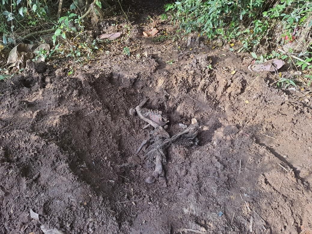 Suspeita de integrar facção é presa em Suzano por homicídio e ocultação de cadáver em Mogi das Cruzes