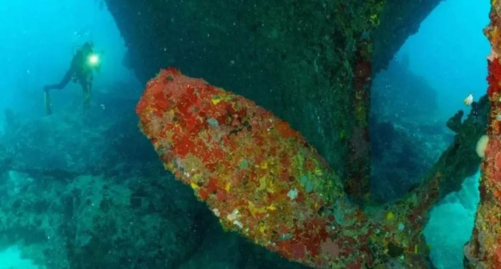 O Parque Estadual Marinho Parcel Manuel Luís abriga uma grande biodiversidade, incluindo espécies ameaçadas de extinção. O litoral abriga mais de 200 espécies marinhas, como o tubarão dos recifes, e o coral-de-fogo, um falso coral. — Foto: SECOM/MA/Léo Francini