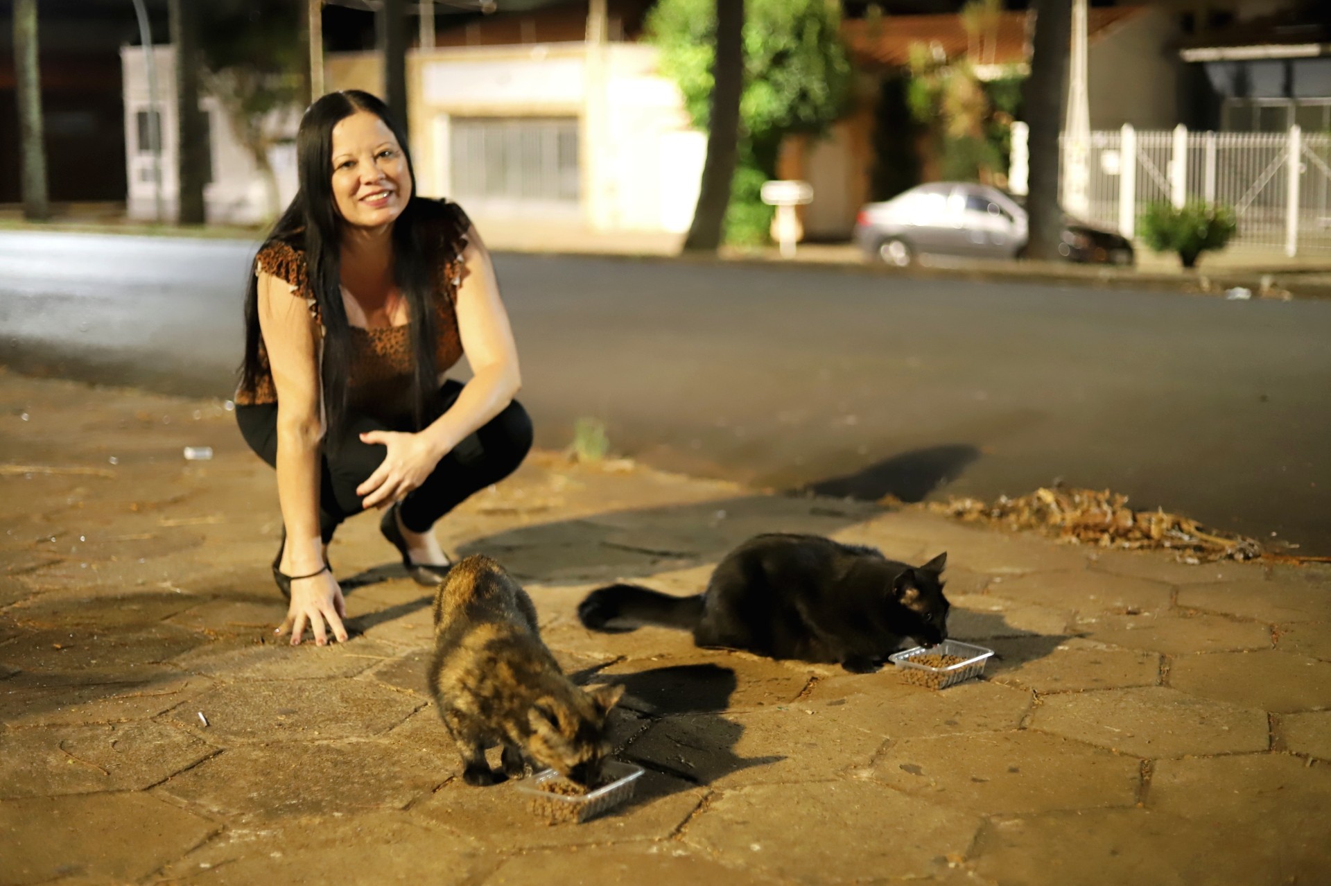 Protetora cuida de gatinhos todos os dias há 10 anos em parque de Araraquara: 'Venho com chuva e até de madrugada'