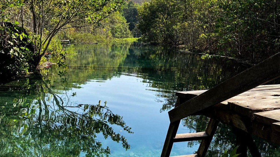 Nascente é cercada pela natureza — Foto: Arquivo pessoal/Devilin Ranieli