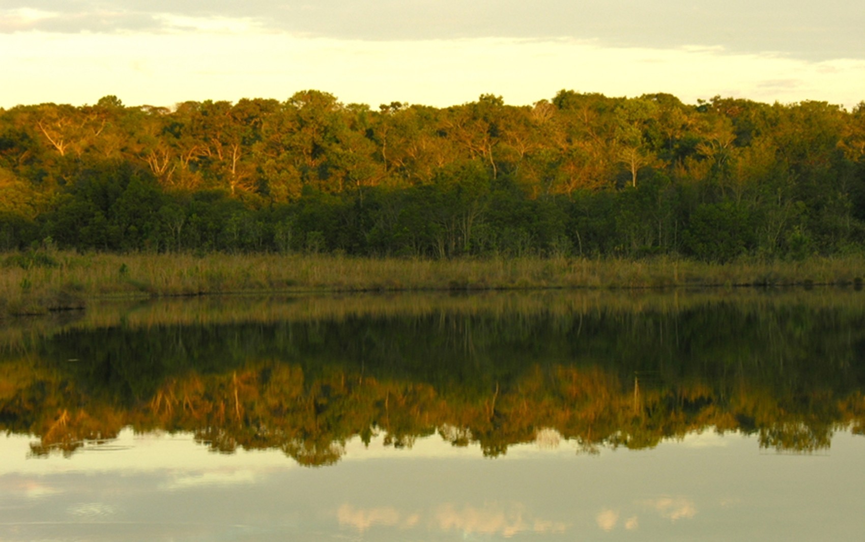 SP anuncia 98 vagas para pesquisadores após determinação do STF, mas déficit estrutural preocupa associação científica