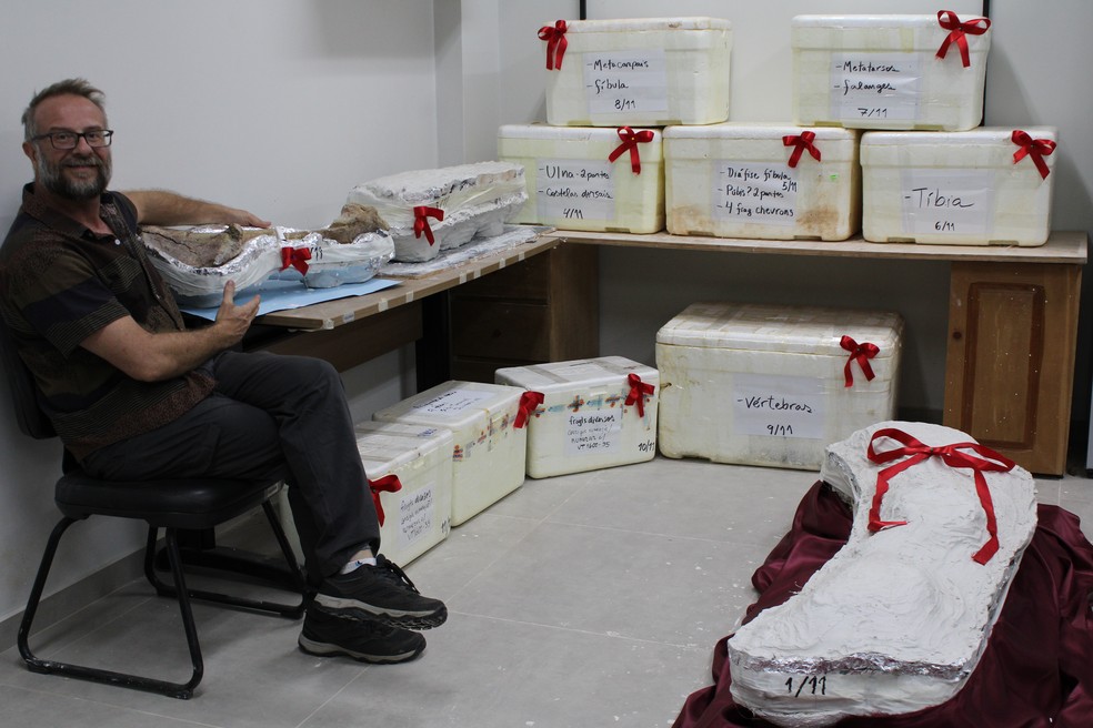 Paleontólogo Elver Luiz Mayer, com os ossos do 'dinossauro de Davinópolis' — Foto: Arquivo pessoal
