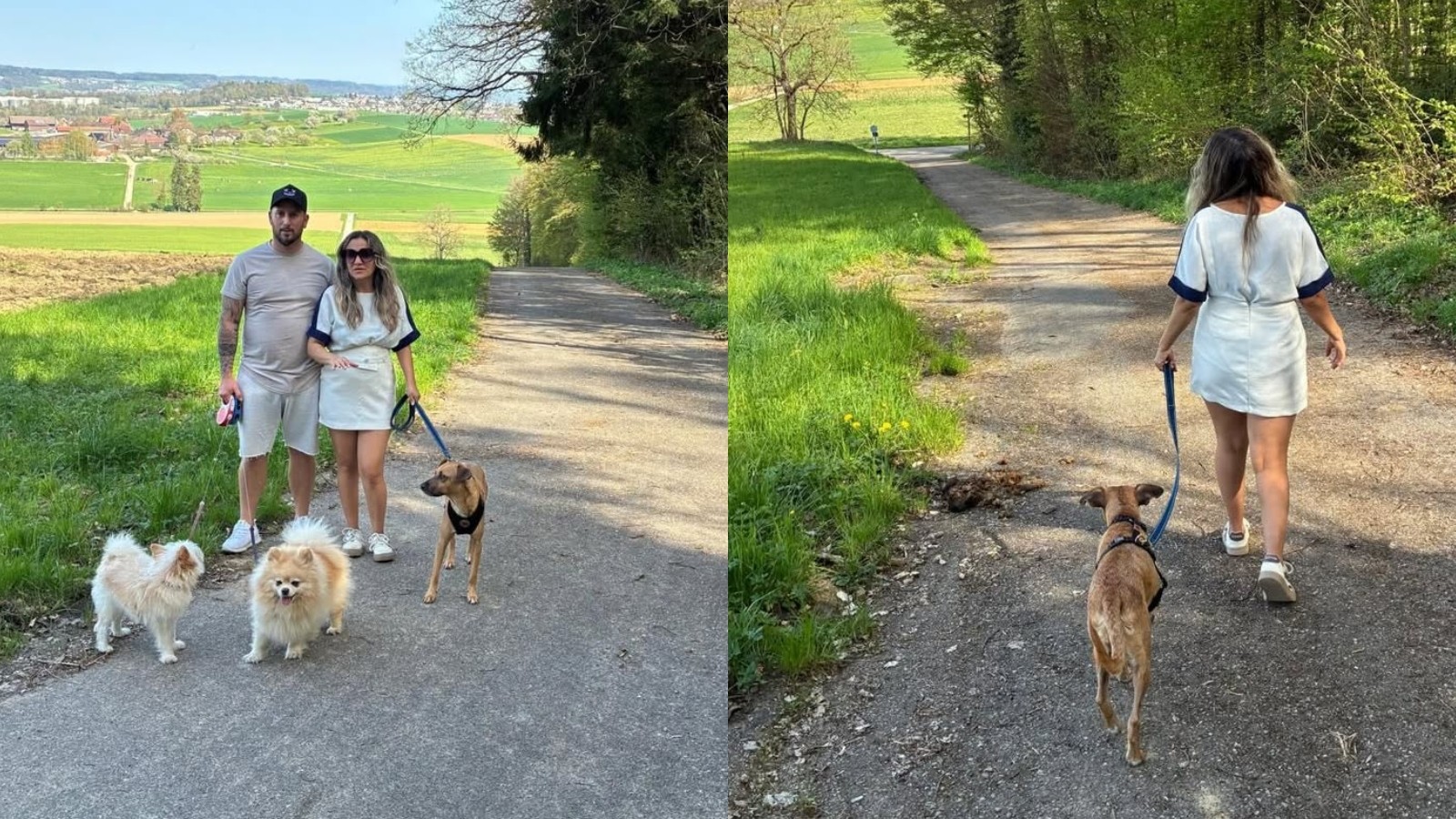 'Não tem mais aquele medo', diz tutora sobre passeio nas ruas com vira-lata caramelo do CE que foi morar na Suíça