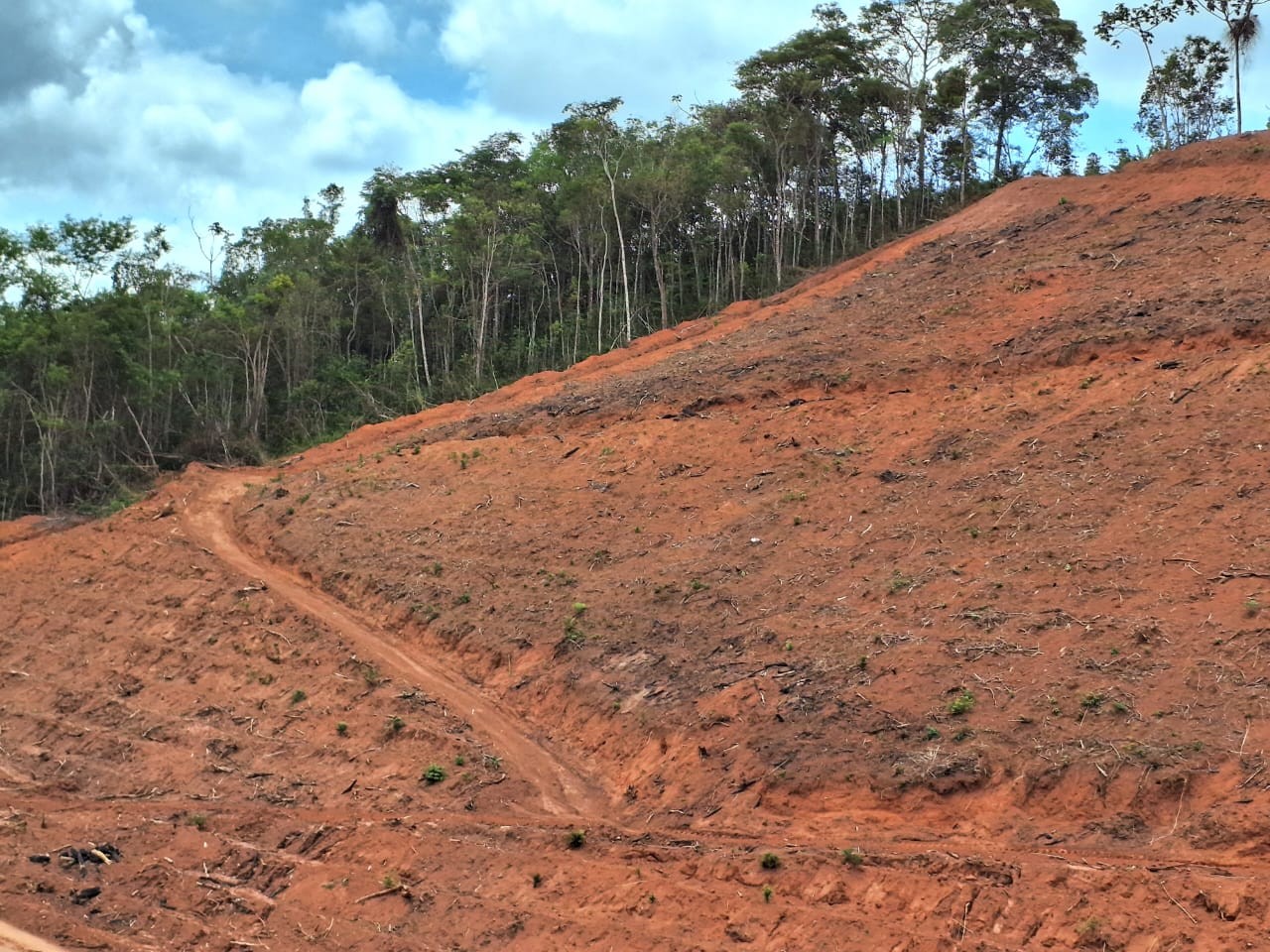 Polícia fiscaliza área nativa e aplica mais de R$ 320 mil em multa por desmatamento irregular 