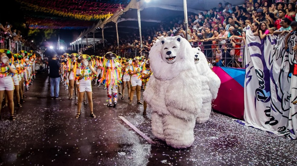 Entre as Ala Ursas do Grupo A, a grade campeã foi a Urso da Paz. — Foto: Divulgação / Prefeitura de João Pessoa