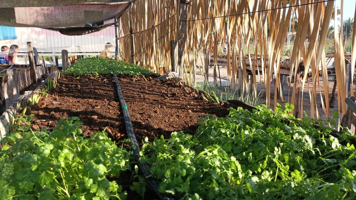 Semab e IFPA levam irrigação inteligente para produtores de comunidades ...