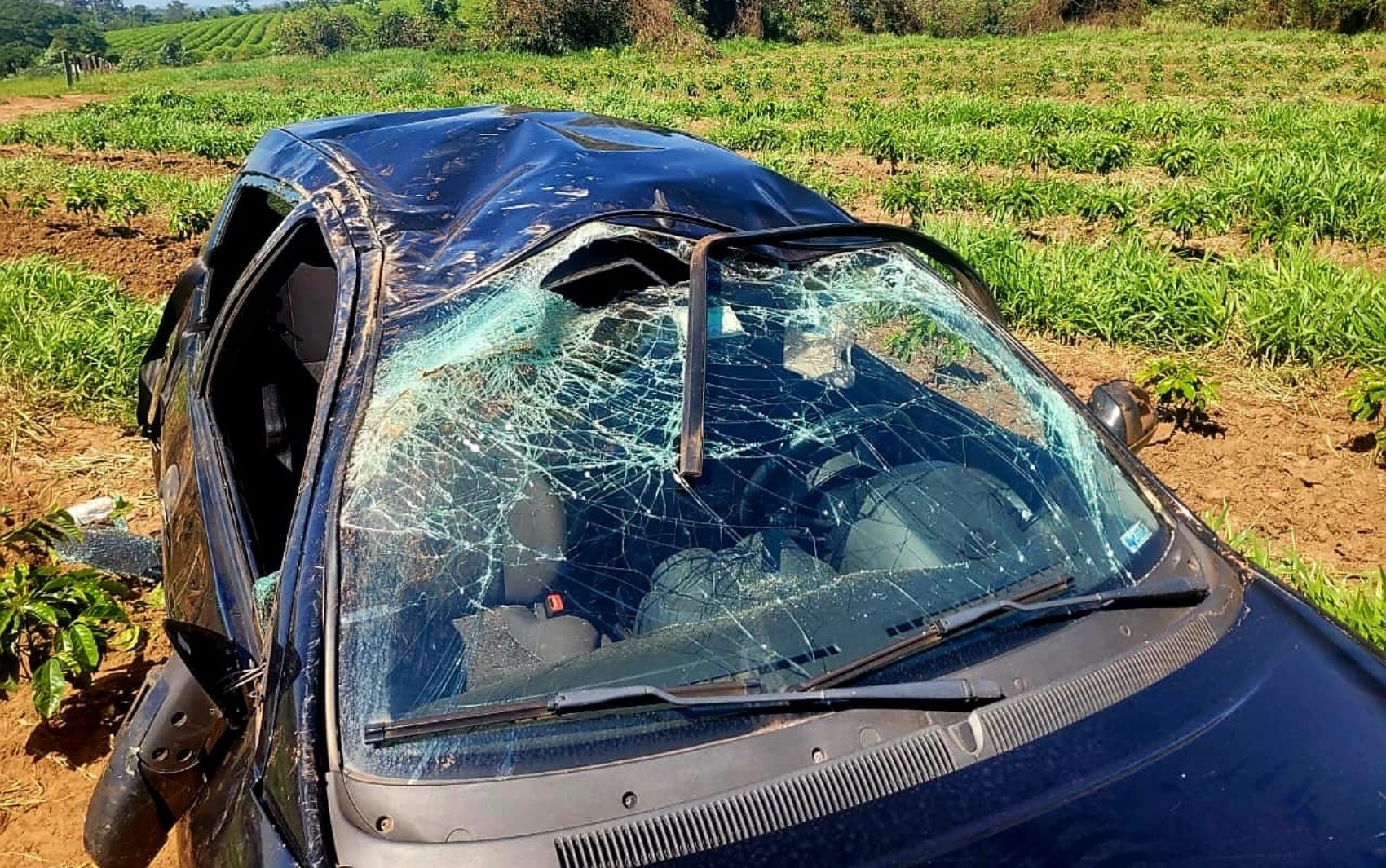 Jovem de 19 anos morre após carro capotar em cafezal na LMG-836, em São Tomás de Aquino