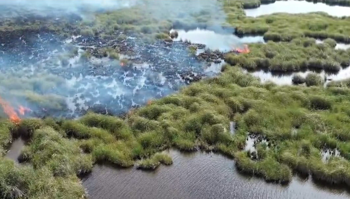 Fogo atinge área de preservação ambiental com vegetação herbácea em Saquarema