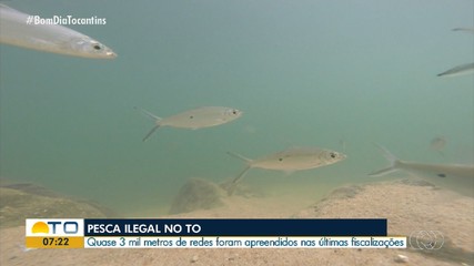 Mais 2 mil metros de redes de pescas ilegais foram apreendidas no Tocantins