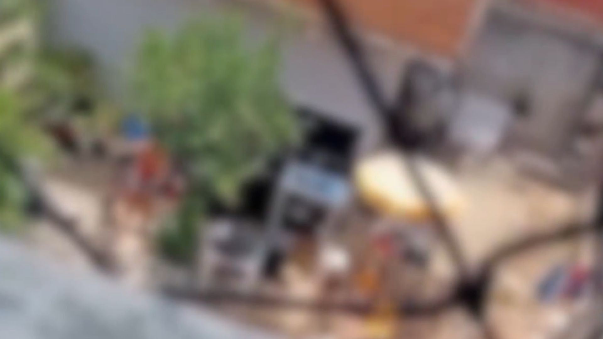 VÍDEO: mulher mata pitbull de vizinha enforcado e a golpes de foice no ES