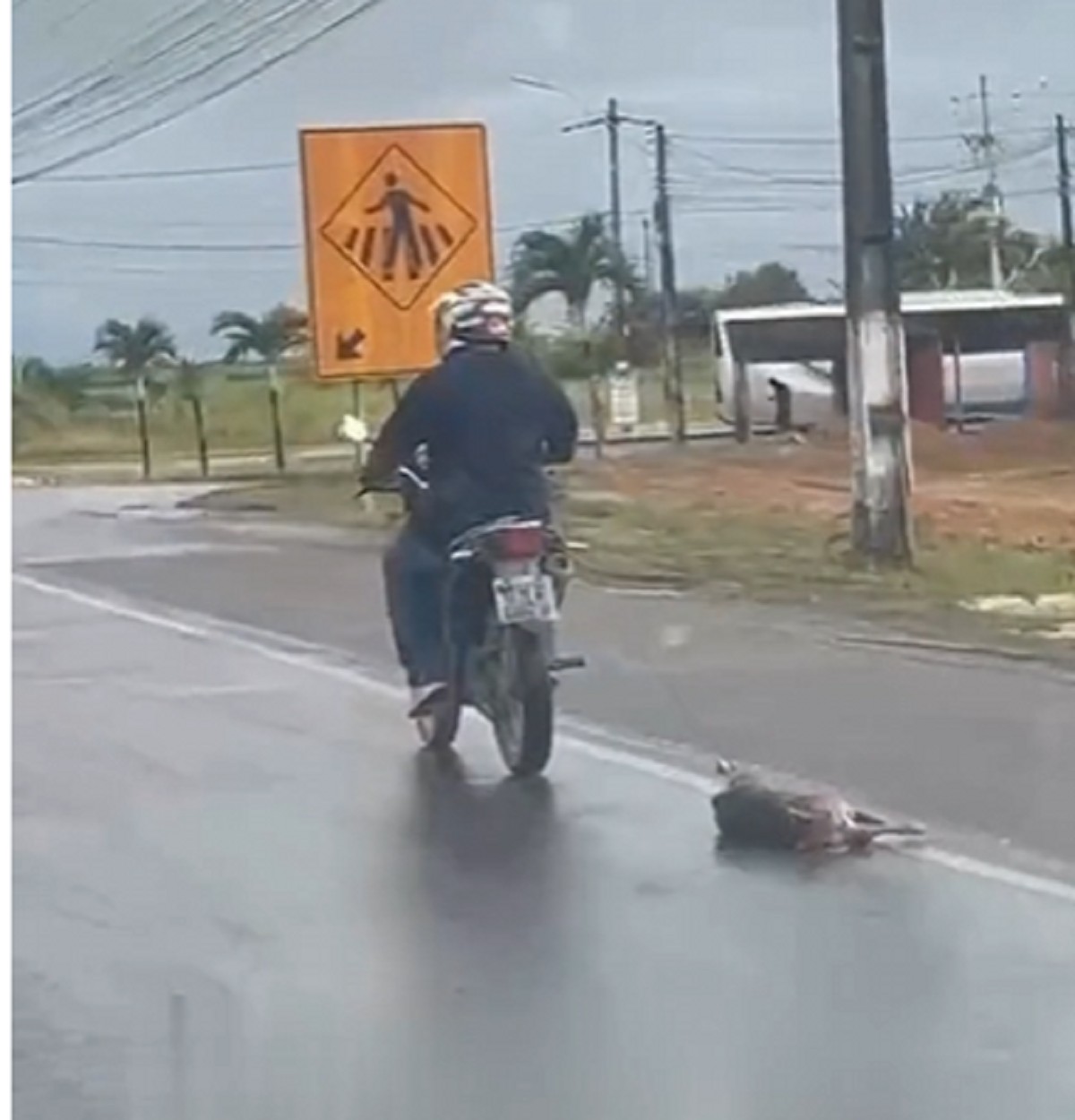 Polícia Civil identifica motociclista que aparece arrastando cachorro em Rio Largo