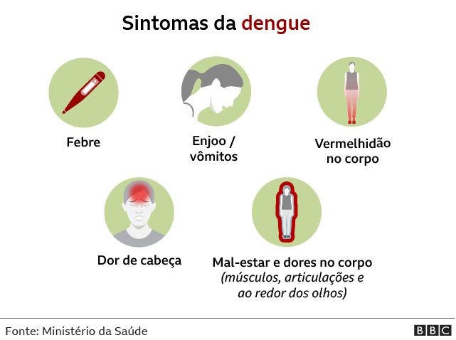 Dengue: quais são os sintomas, quando é hora de buscar um hospital e outras 6 dúvidas sobre a doença