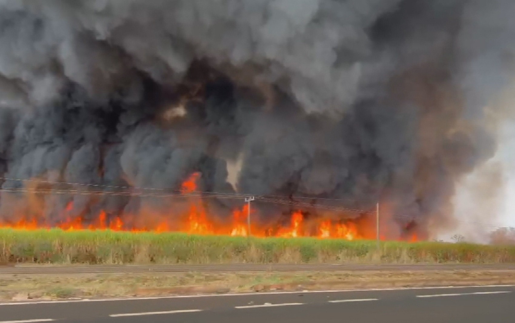 Fogo destrói canavial e deixa rodovia coberta por fumaça; vídeo
