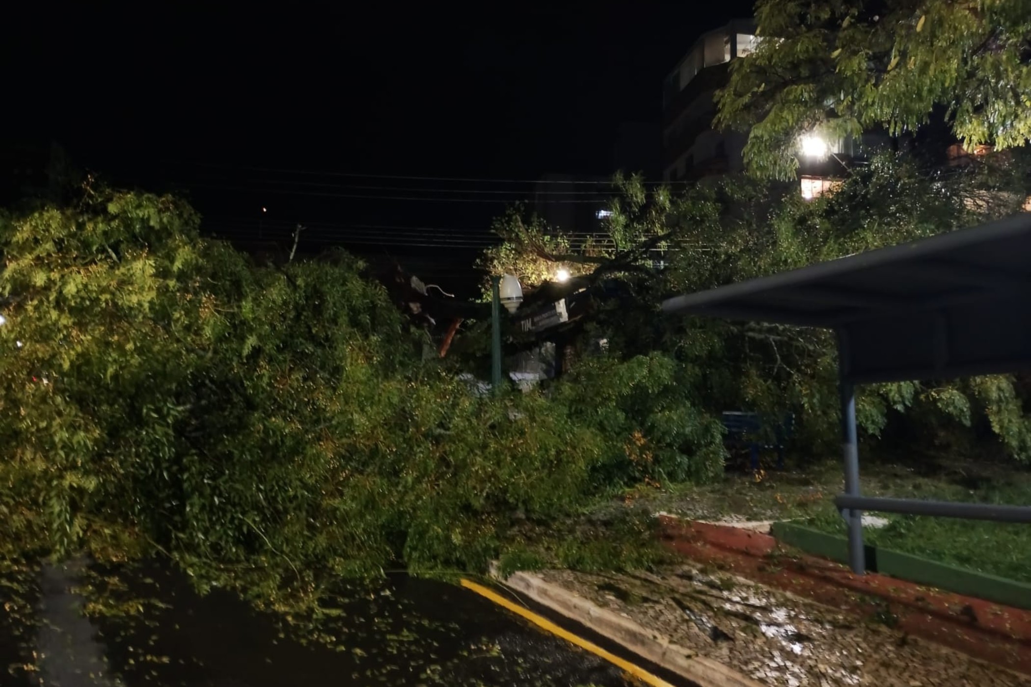 Temporal com granizo e ventania causa destelhamentos e queda de árvores no PR, que segue em alerta para tempestades neste domingo (17)