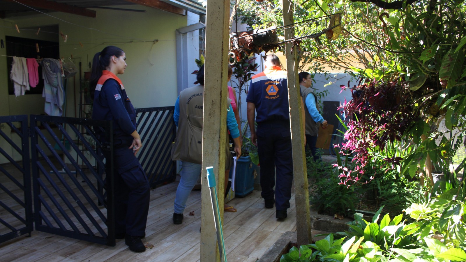 Resultado do relatório larvário ajuda a direcionar de ações de combate à dengue