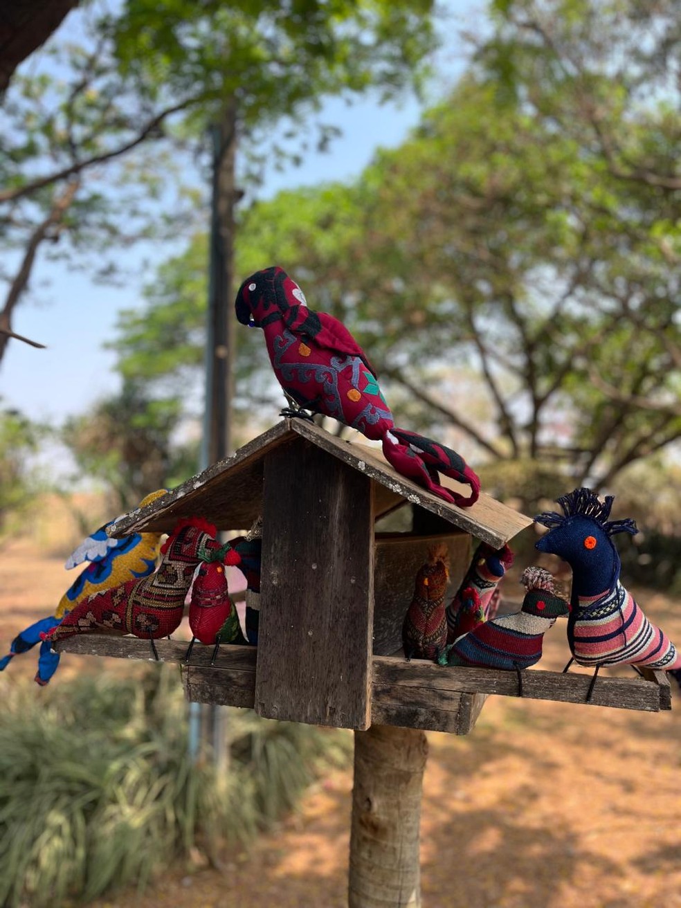 Pássaros são feitos artesanalmente em Lagoa da Prata — Foto: Gisele Borges/Divulgação