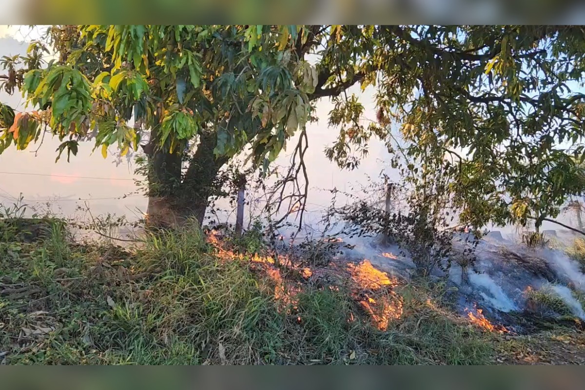 Incêndio atinge 15 mil m² de vegetação e mobiliza equipes de combate em Regente Feijó