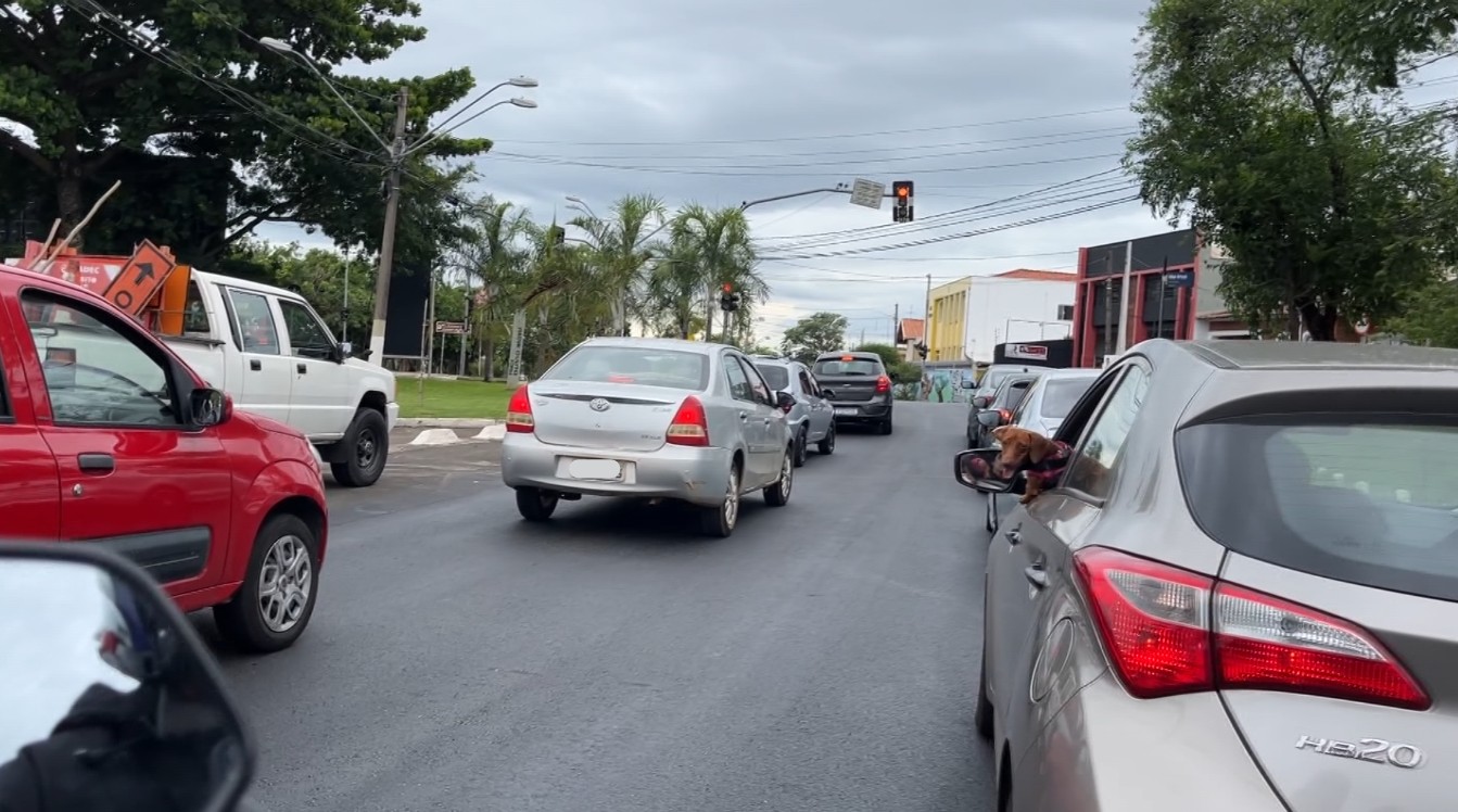 Multas por dirigir desatento aumentam 22,7% em Campinas; entenda como evitar a infração 