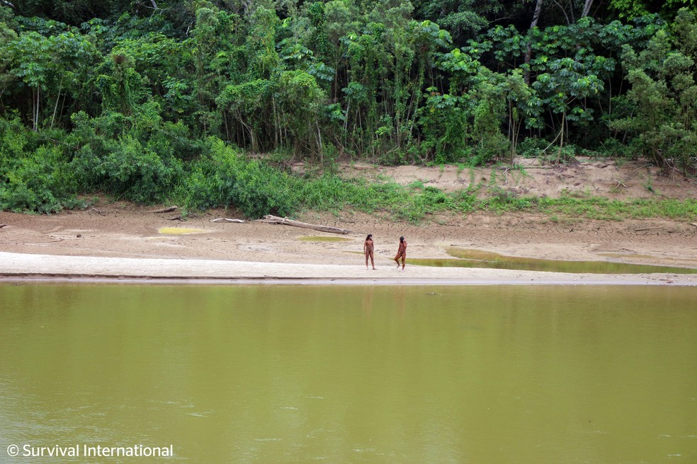 Povo indígena Mashco Piro estava em busca de comida próxima ao Rio Las Piedras; local fica a poucos quilômetros de área de exploração madeireira — Foto: Arquivo/Survival International
